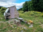 Tiny House Águila