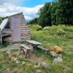 Tiny House Águila